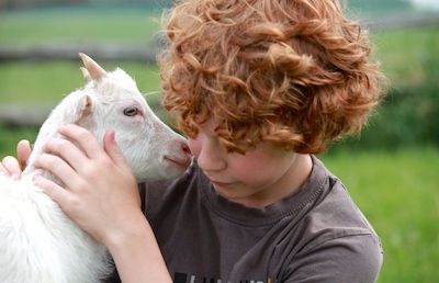 Goat Affection: 10 Clear Ways Goats Show Affection – Savvy Farm Life