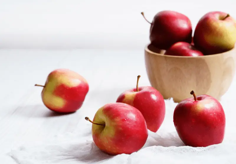 What Ducks Can And Can’t Eat (Ultimate Guide) Savvy Farm Life