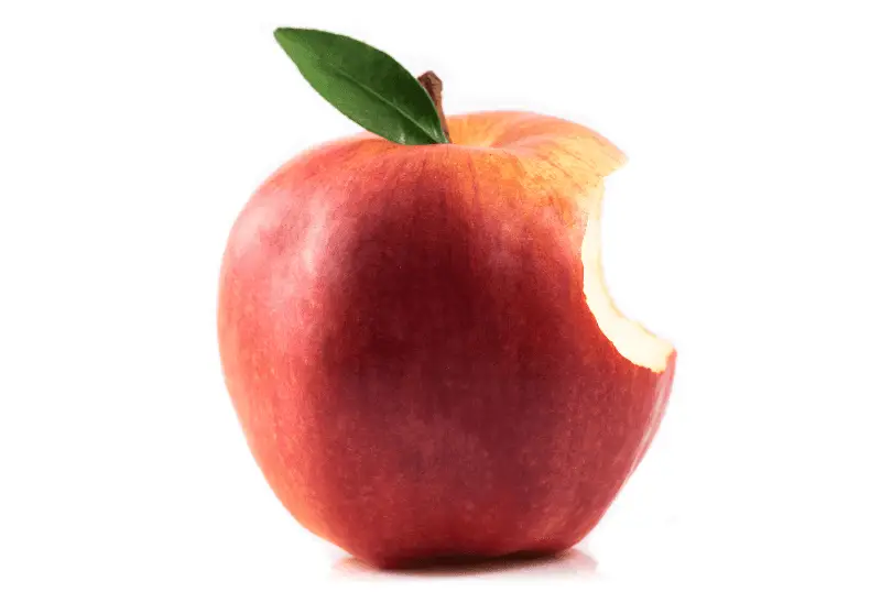 Can Ducks Eat Apples? What You Should Know Savvy Farm Life